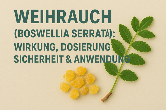 Weihrauch (Boswellia serrata): Wirkung, Dosierung, Sicherheit & Anwendung