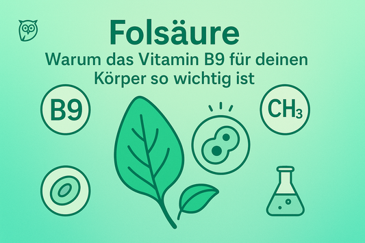 Folsäure: Warum das Vitamin B9 für deinen Körper so wichtig ist