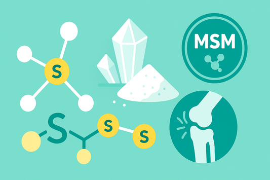 MSM: Organischer Schwefel und seine Rolle für Gesundheit & Wohlbefinden