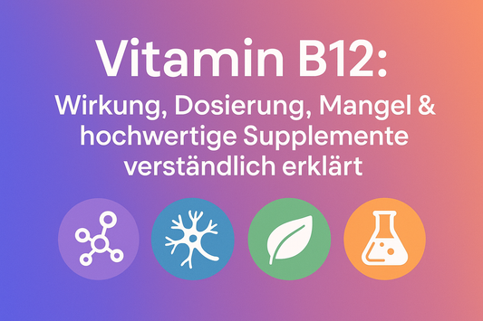 Vitamin B12: Wirkung, Dosierung, Mangel & hochwertige Supplemente verständlich erklärt