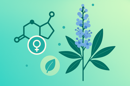 Mönchspfeffer: Wirkung, Anwendung & Tipps für den Alltag