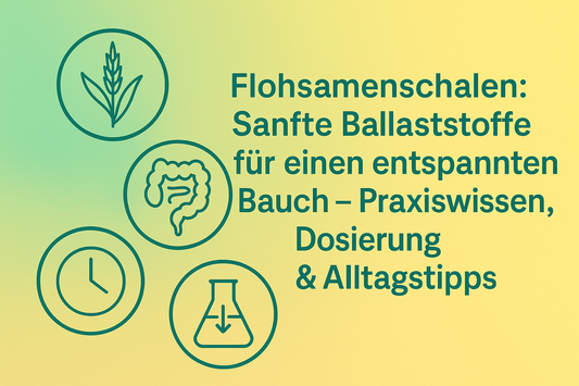 Flohsamenschalen: Sanfte Ballaststoffe für einen entspannten Bauch – Praxiswissen, Dosierung & Alltagstipps