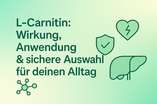 L-Carnitin: Wirkung, Anwendung & sichere Auswahl für deinen Alltag