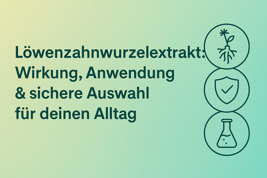 Löwenzahnwurzelextrakt: Wirkung, Anwendung & sichere Auswahl für deinen Alltag