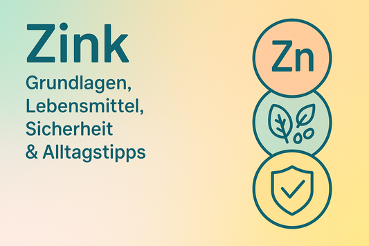 Zink: Grundlagen, Lebensmittel, Sicherheit & Alltagstipps