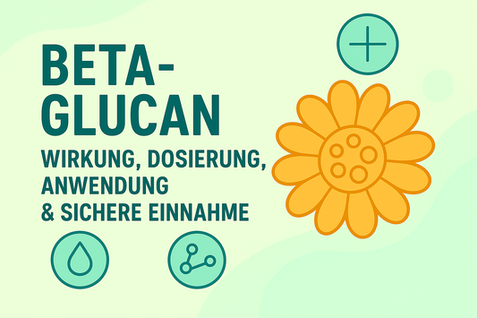 Beta-Glucan: Wirkung, Dosierung, Anwendung & sichere Einnahme