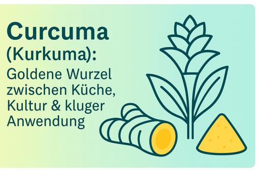 Curcuma (Kurkuma): Goldene Wurzel zwischen Küche, Kultur & kluger Anwendung