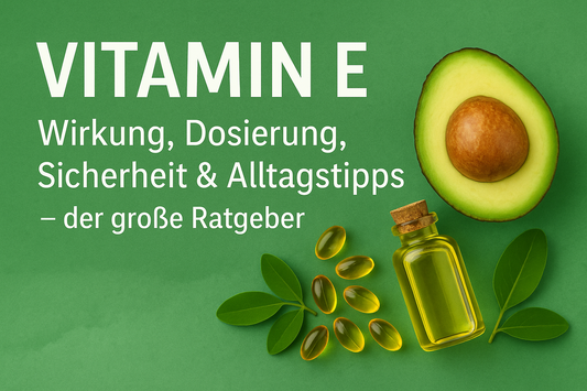 Vitamin E: Wirkung, Dosierung, Sicherheit & Alltagstipps – der große Ratgeber