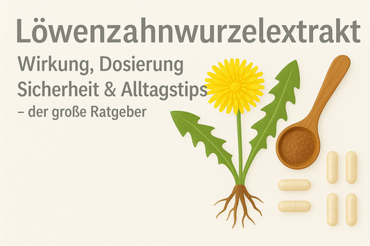 Löwenzahnwurzelextrakt: Wirkung, Dosierung, Sicherheit & Alltagstipps – der große Ratgeber