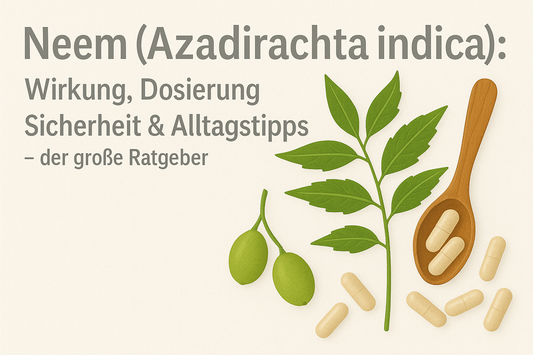 Neem (Azadirachta indica): Wirkung, Dosierung, Sicherheit & Alltagstipps – der große Ratgeber