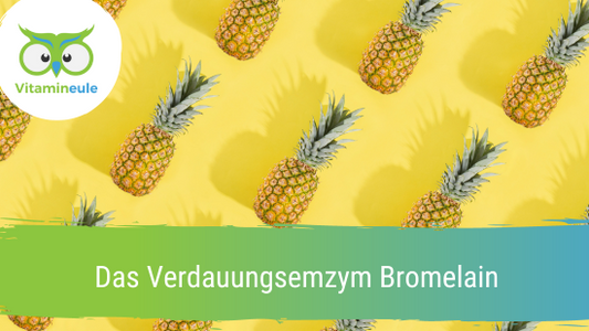 Das Verdauungsemzym Bromelain