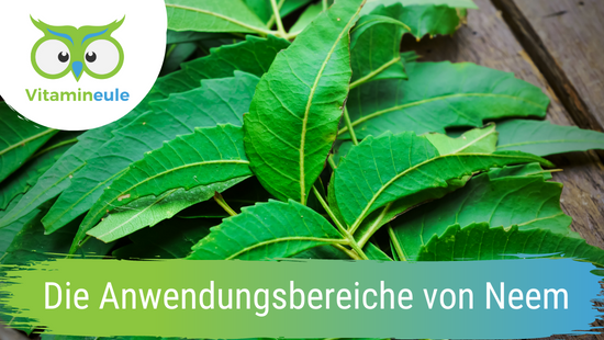 The areas of application of neem