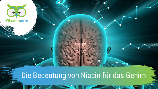 Die Bedeutung von Niacin für das Gehirn