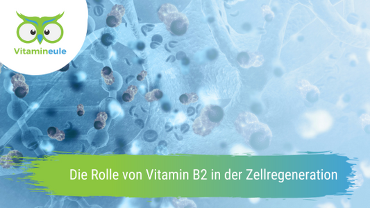 Die Rolle von Vitamin B2 in der Zellregeneration