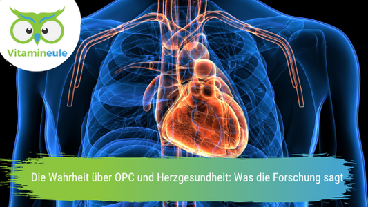 Die Wahrheit über OPC und Herzgesundheit: Was die Forschung sagt