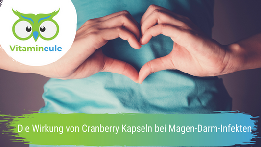 Die Wirkung von Cranberry Kapseln bei Magen-Darm-Infekten