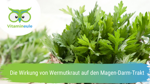 Die Wirkung von Wermutkraut auf den Magen-Darm-Trakt