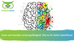 Eisen und mentale Leistungsfähigkeit: Wie es Ihr Gehirn beeinflusst