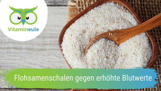 Flohsamenschalen gegen erhöhte Blutwerte