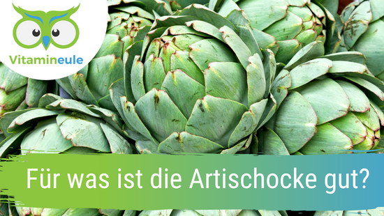 What is the artichoke good for?