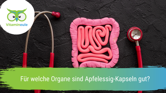 Für welche Organe sind Apfelessig-Kapseln gut?