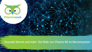 Gesunde Nerven und mehr: Die Rolle von Vitamin B6 im Nervensystem