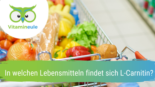 In welchen Lebensmitteln findet sich L-Carnitin?