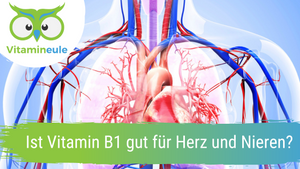 Is vitamin B1 good for the heart and kidneys?