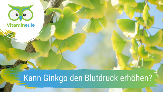 Kann Ginkgo den Blutdruck erhöhen?