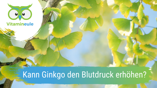 Can ginkgo increase blood pressure?