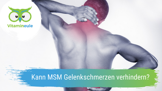 Kann MSM Gelenkschmerzen lindern?