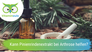 Can pine bark extract help with osteoarthritis?