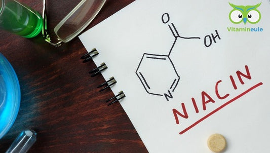 Niacin-Bedeutung, Tagesbefarf & Lebensmittel