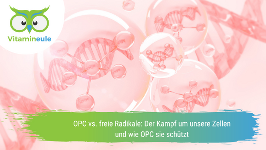 OPC vs. freie Radikale: Der Kampf um unsere Zellen und wie OPC sie schützt