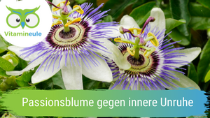 Passionflower against inner restlessness