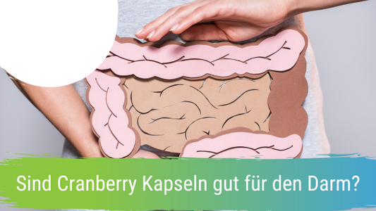 Sind Cranberry Kapseln gut für den Darm?