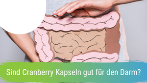 Are cranberry capsules good for the intestines?