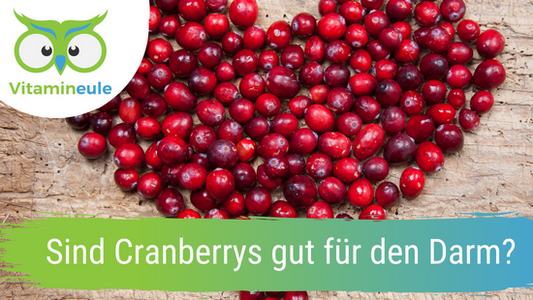 Sind Cranberrys gut für den Darm?