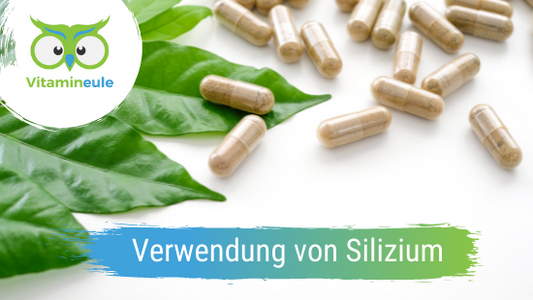 Silizium: Verwendung, Wirkung, Dosierung, Lebensmittel