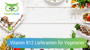 Vitamin B12 Suppliers for Vegetarians
