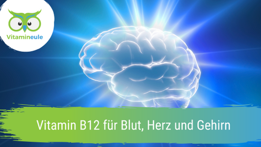 Vitamin B12 für Blut, Herz und Gehirn