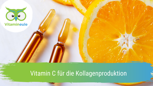 Vitamin C für die Kollagenproduktion