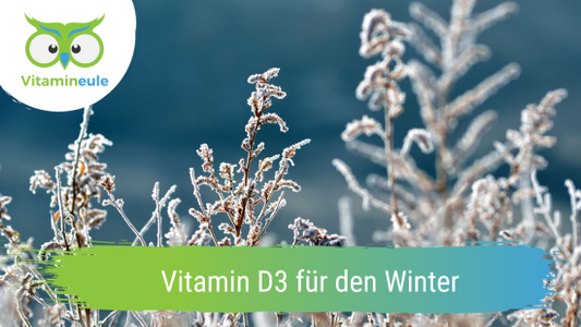 Vitamin D3 für den Winter