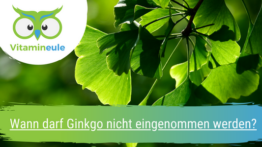 Wann darf Ginkgo nicht eingenommen werden?