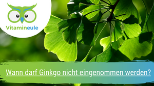 When should ginkgo not be taken?