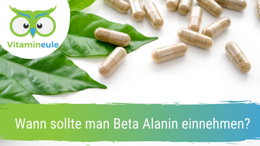 Wann sollte man Beta Alanin einnehmen?