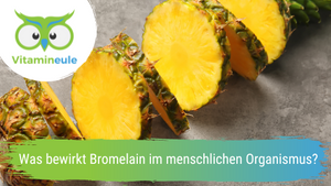 What does bromelain do in the human organism?