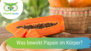 What does papain do in the body?