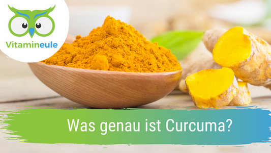 Was genau ist Curcuma?
