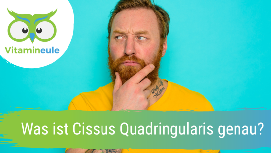 What exactly is Cissus Quadringularis?